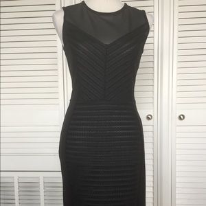 French Connection body hugging dress w/sheer panel